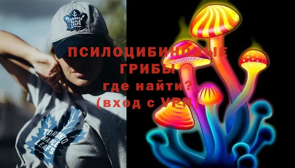индика Няндома