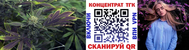 дарк нет Telegram Цоци-Юрт Дистиллят ТГК вейп