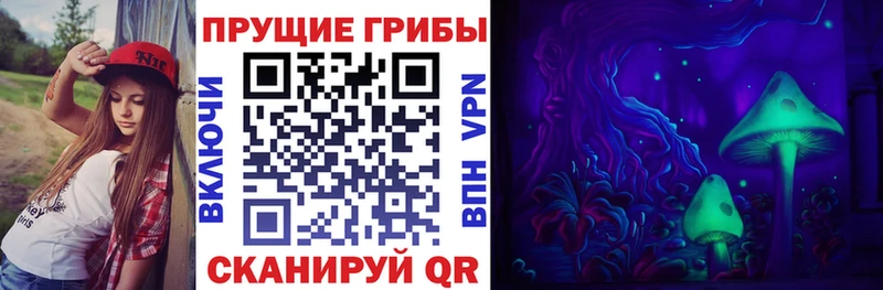 Галлюциногенные грибы мицелий  купить наркотик  Цоци-Юрт 